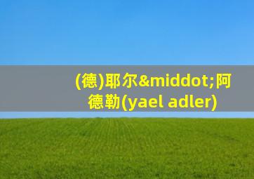 (德)耶尔·阿德勒(yael adler)